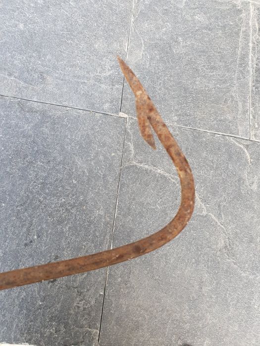 Голяма кука ченгел