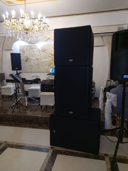 Coloana Dynacord XA 2 Pro( FX20, FX 12)