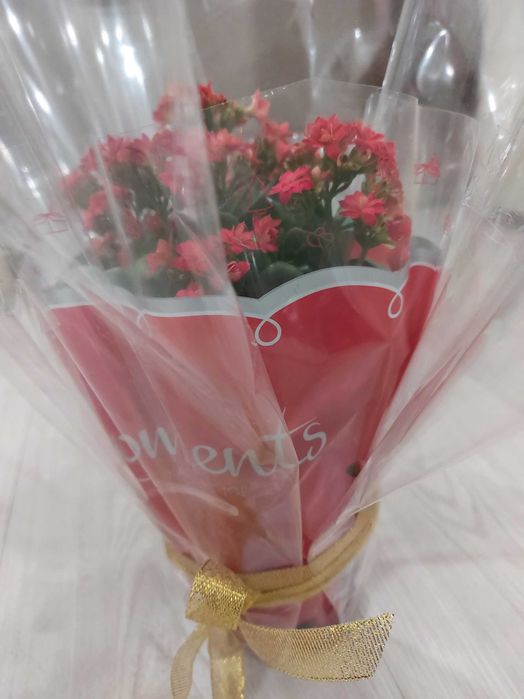 Цветы растение с лентами