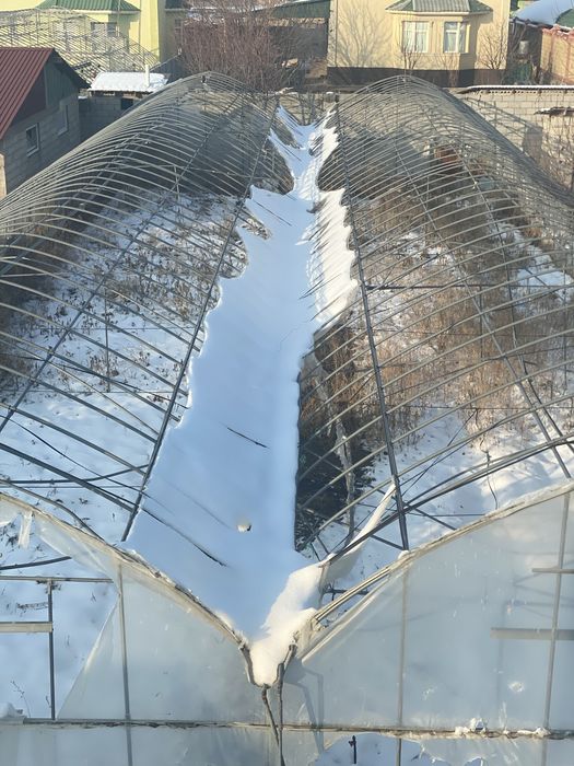 Теплица.  парник