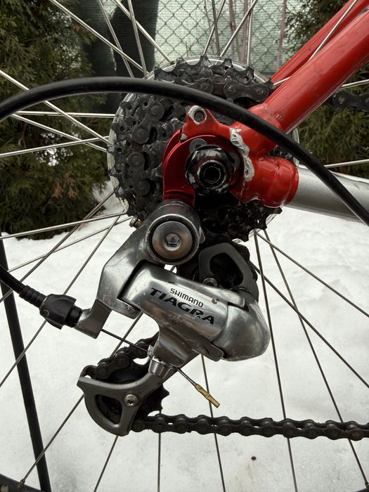Cursiera Giant SCR3