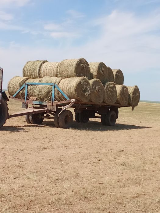 Продам сено лиман житняк