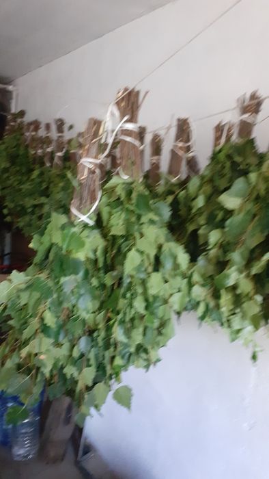 Берёзовые веники.