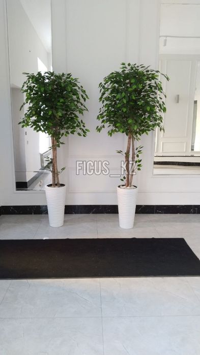 Искусственные деревья