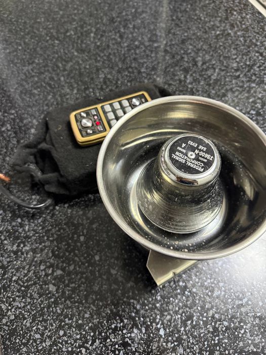 Serena 1 karnay amerika