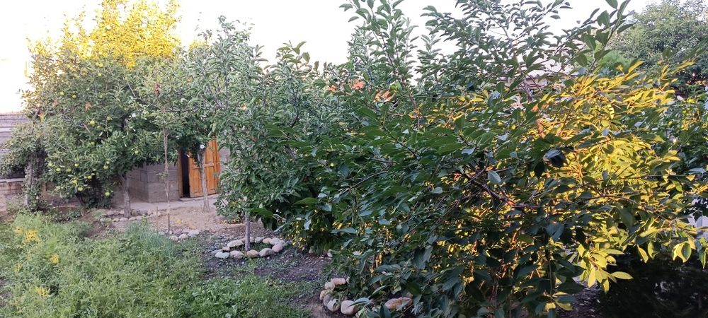 Продается дом 4 комнатный.Раен Сулиманова.