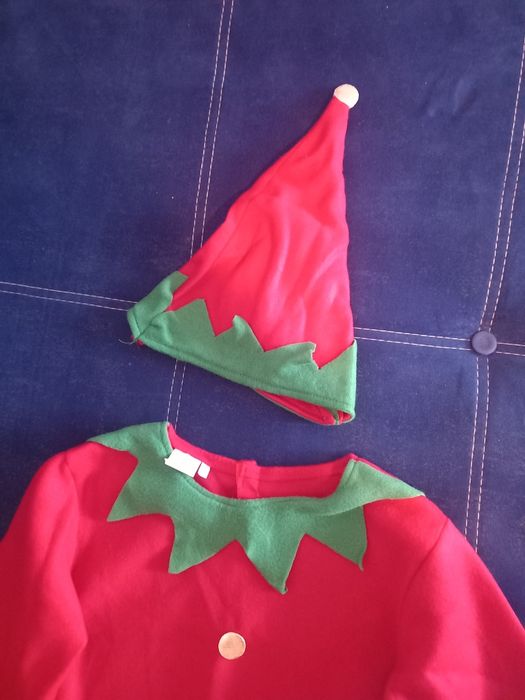 Costum Elf  Fermecat