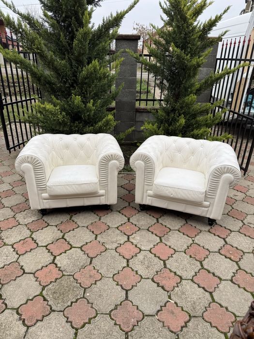 Doua Fotolii Chesterfield Albe