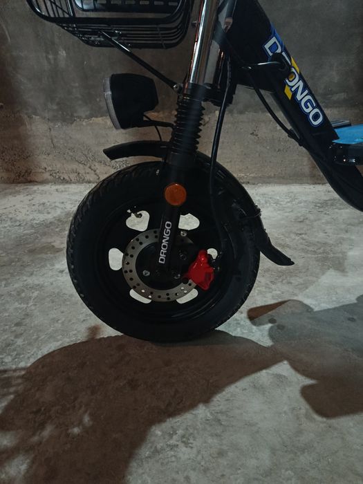 Drongo monster prabeg 600 km