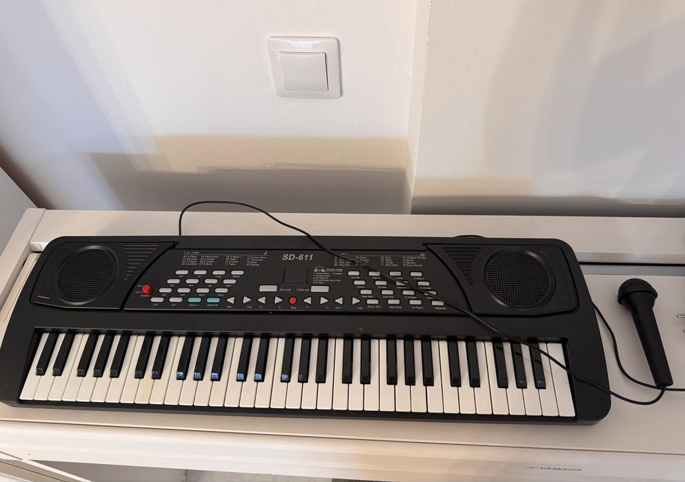 Orga electronica pentru copii
