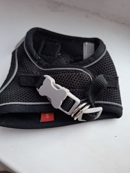 Шлейка для собак