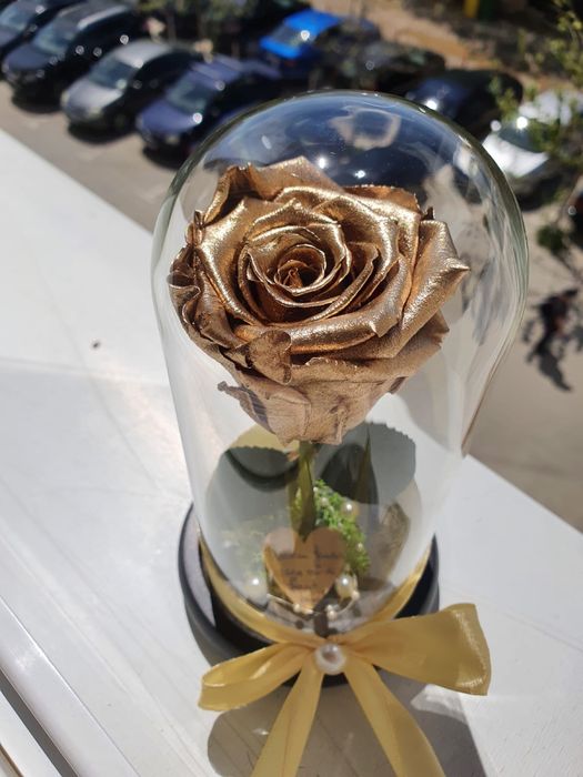 Cupola de sticla cu trandafir criogenat conservat diverse inaltimi