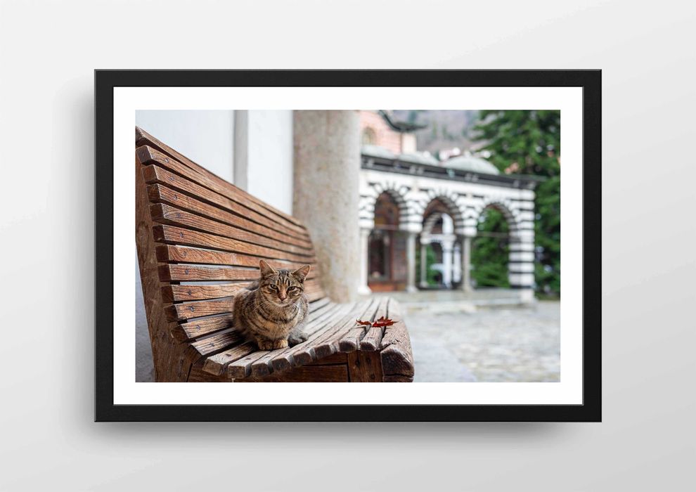 А5/А4/А3 Професионални фотографски принтове на България и света