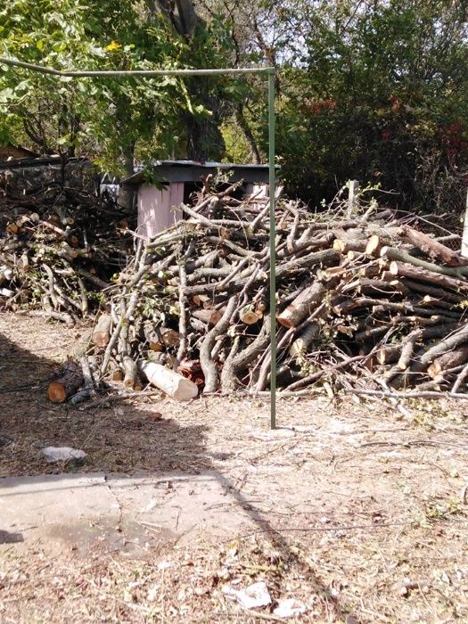 От 1лв на кв.м разчиства буренясали вили