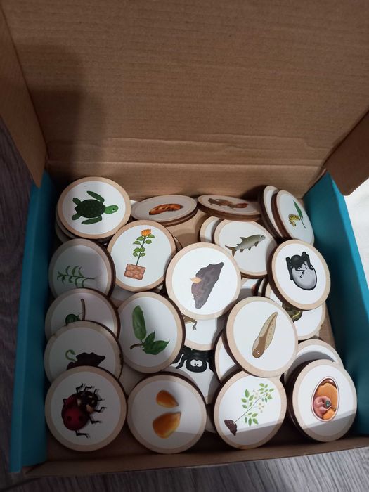 Монтесори игра - Кръговрата на живота - дърво