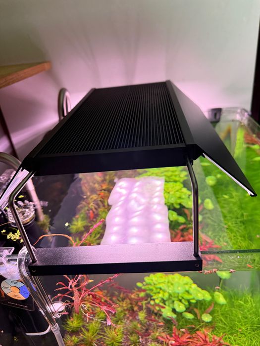 Chihiros WRGB ll Pro 30 cm