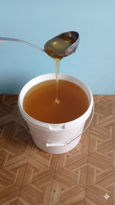 Продам свежий мёд