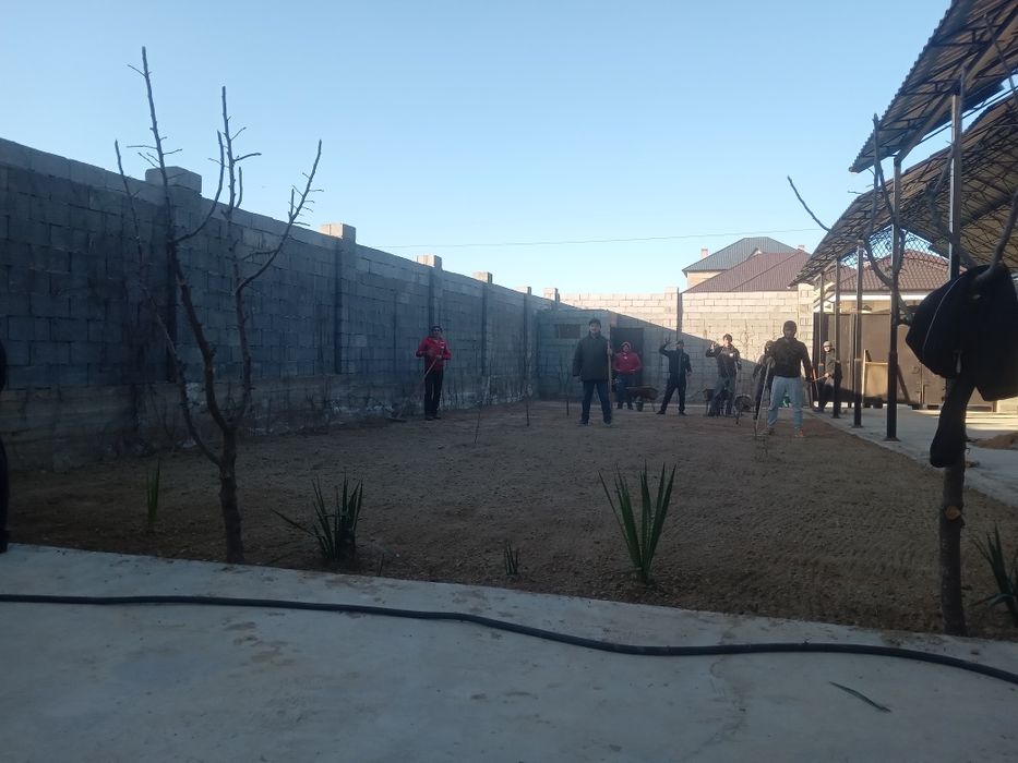 Газон Автополив 500тг