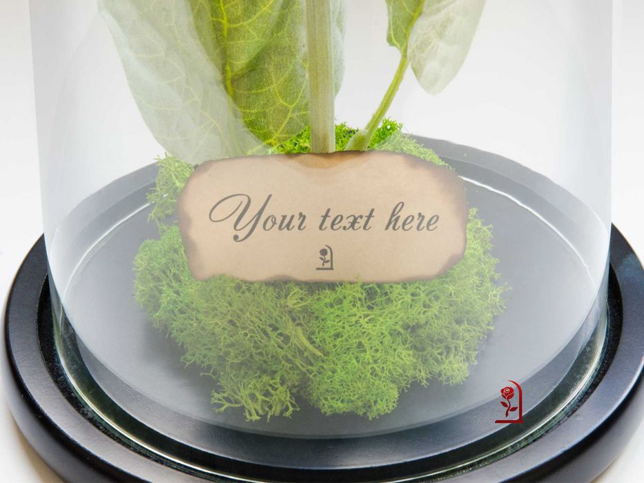 Вечен Слънчоглед в Голяма Стъкленица със Скандинавски Мъх / Ръчно изработен Подарък за Рожден Ден на Жена / Оригинален Подарък за Съпругата