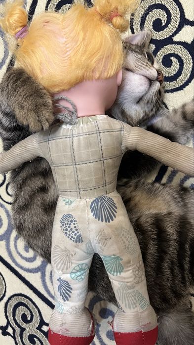 Отдам котенка 6 мес