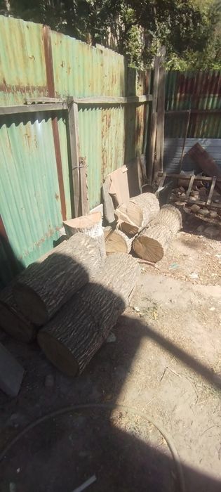 Пподаеться дрова