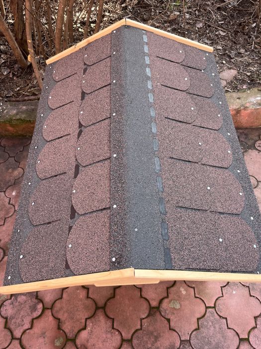 Vand cusca caine talie medie-mare