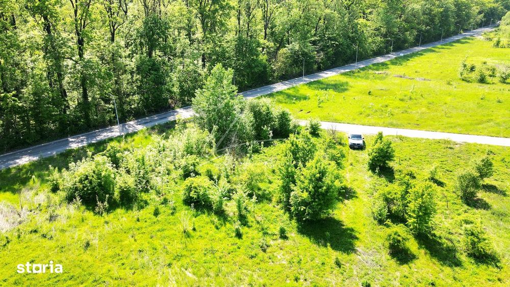 Teren intravilan, 2 fronturi, Drumul Padurea Pustnicu 65 - Greenfield