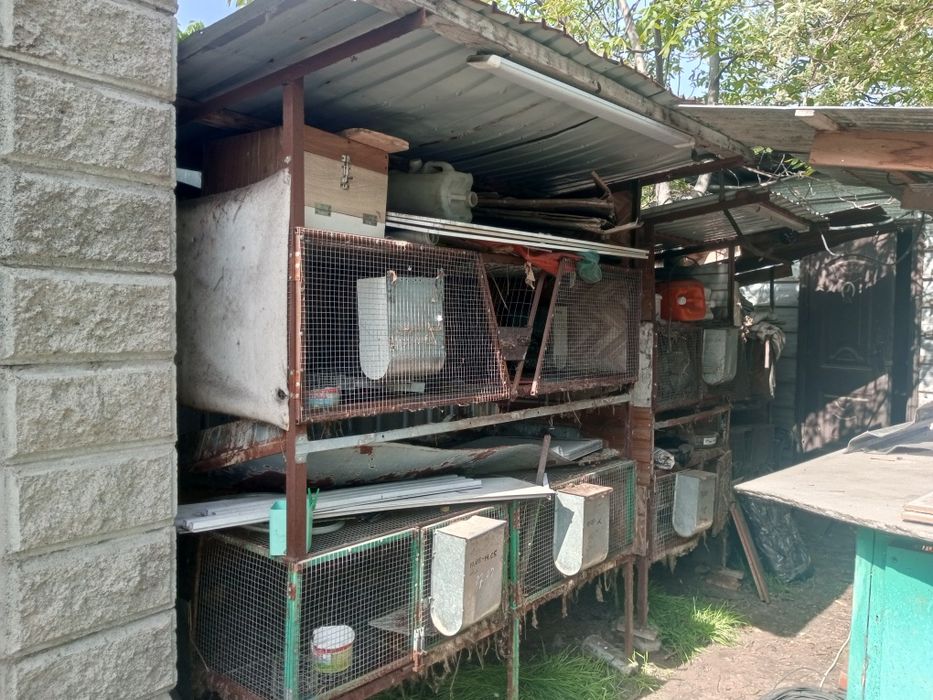 Клетки для кроликов