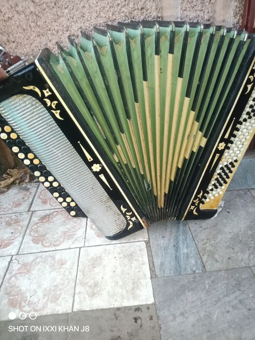 Баян.  Белорусь.