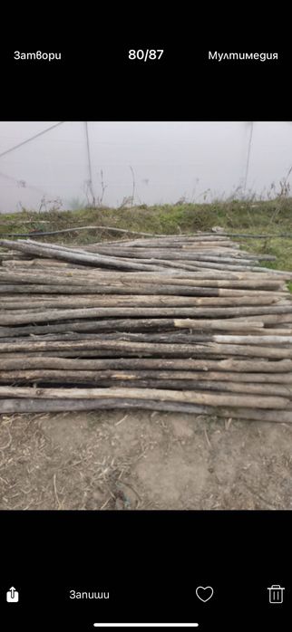 Дървени колове за домати - акация