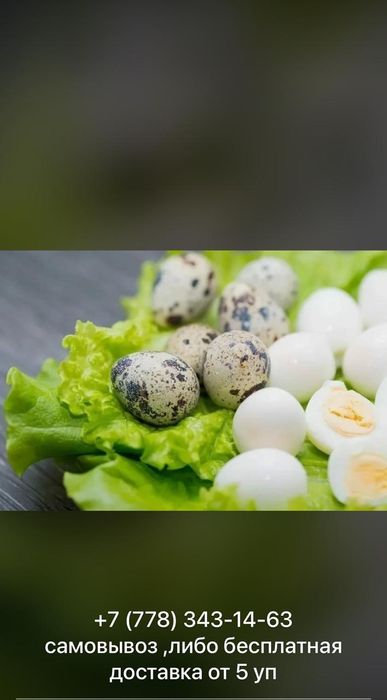 Продам домашнее перепелиные яйца