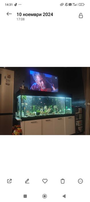 Обурудван Аквариум 600л. +