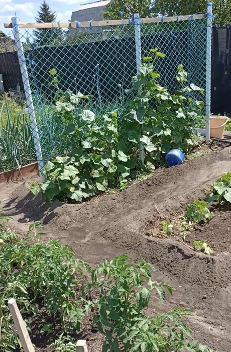 Продам Дачный участок