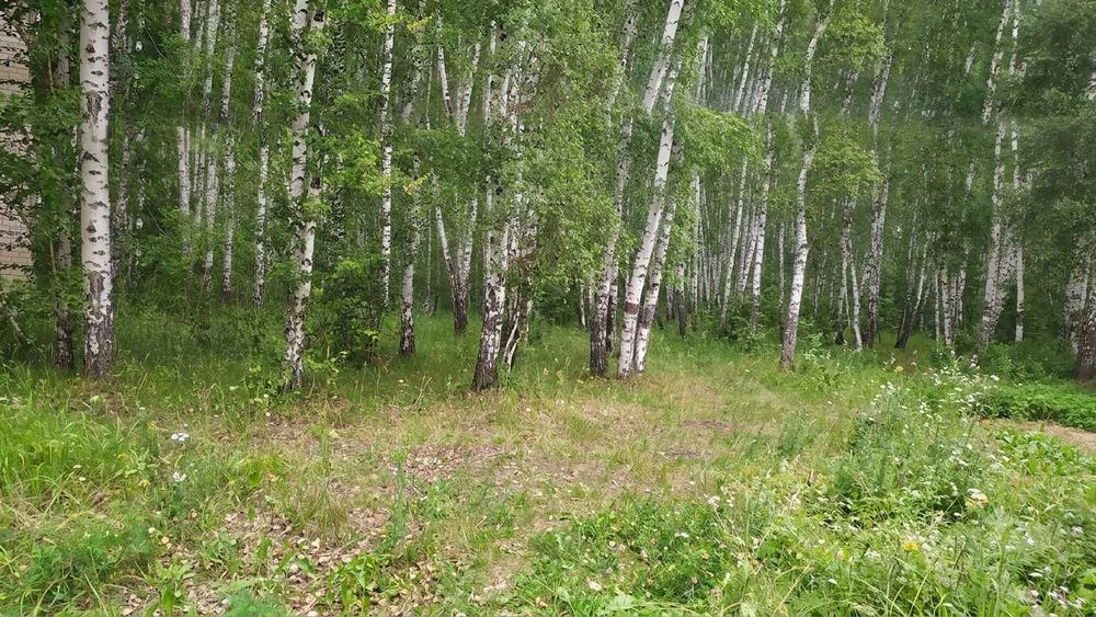 Продам участок 24 сотки