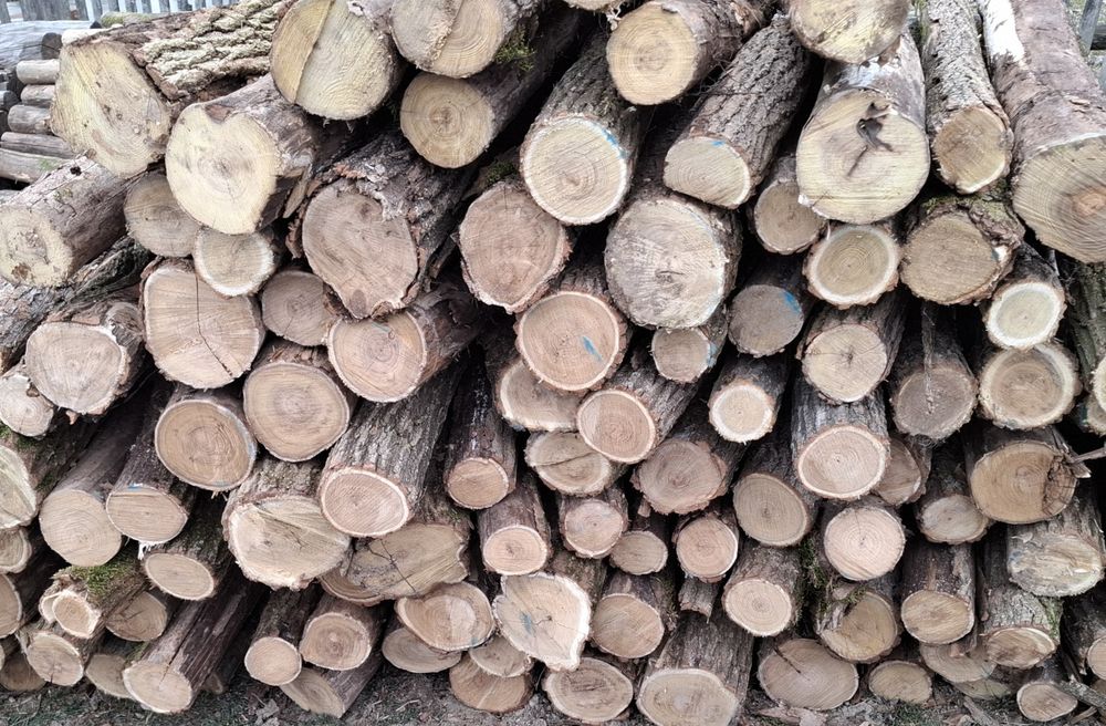 Vând  stâlpi /pari