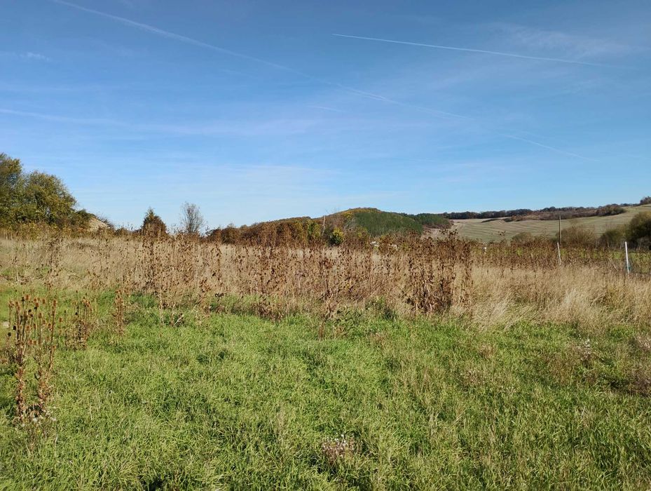 Продава се Парцел в Търговище, Център - 1600 кв.м за 4 €/кв.м - Снимка #2