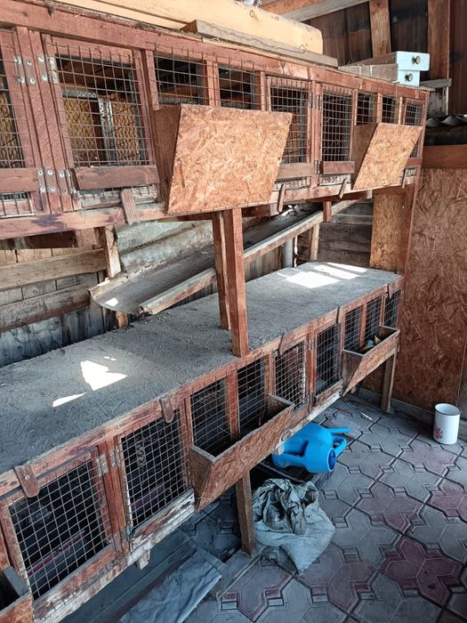 Клетки для кроликов