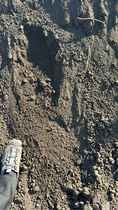 Черназем перегной