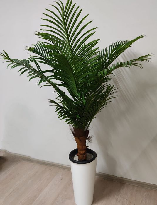 Искусственные пальмы