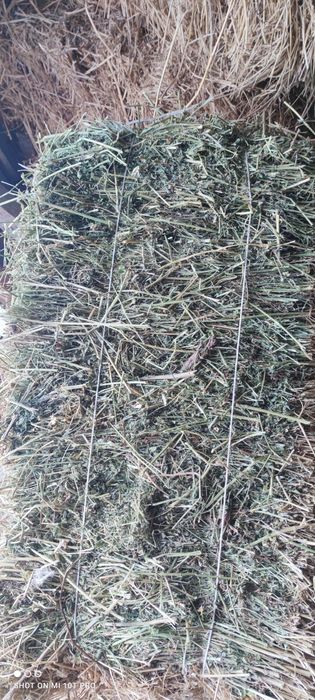 Сено, люцерно, тюк шоп