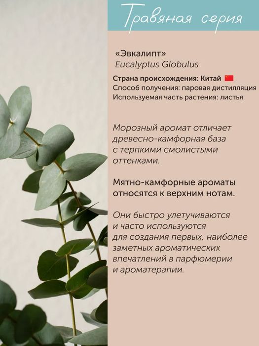 Эфирное масло эвкалипта