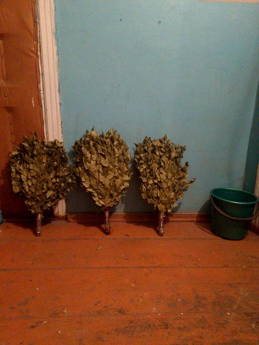 Продам берёзовые веники