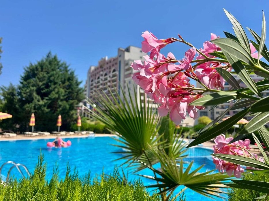 Продава се Двустаен апартамент в к.к. Слънчев бряг - 82 кв.м за 535 €/кв.м - Снимка #1