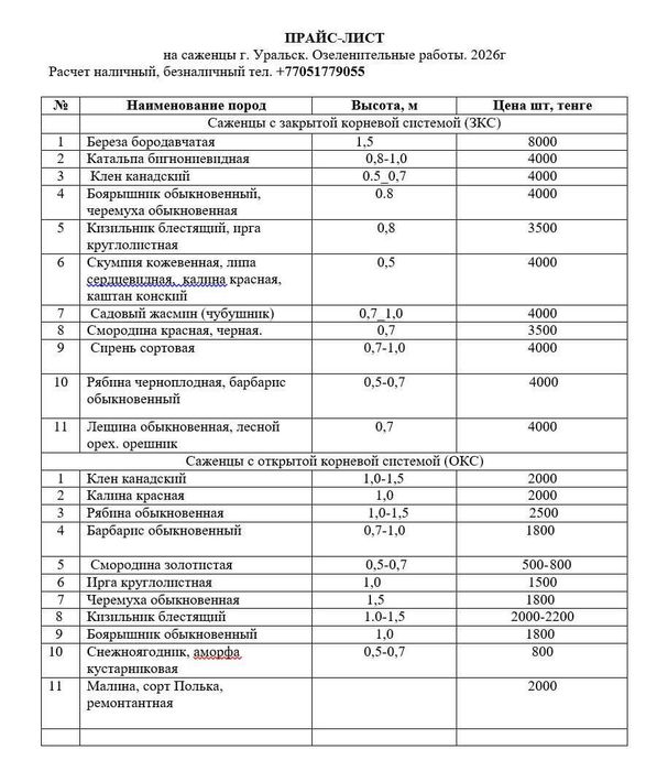Саженцы местные.