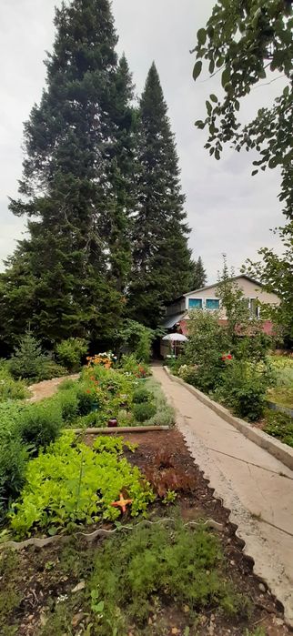 Продаётся дача за Тарханкой