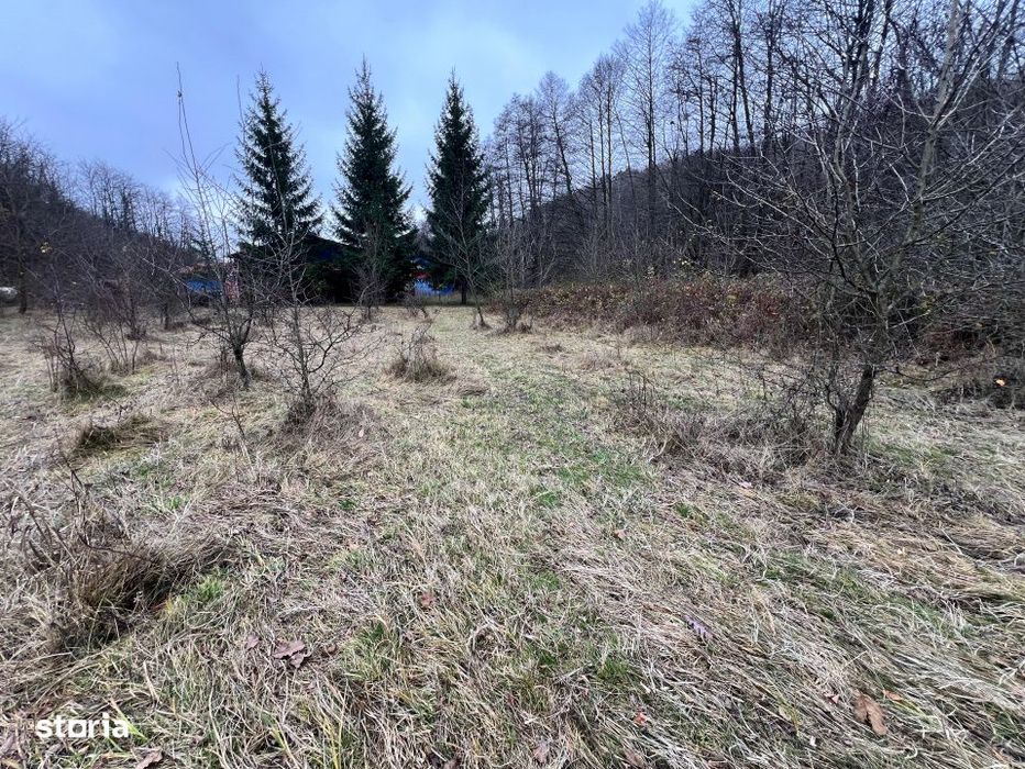 Teren intravilan 6.500 m²–Deschidere 144 ml drum european E81, km 3