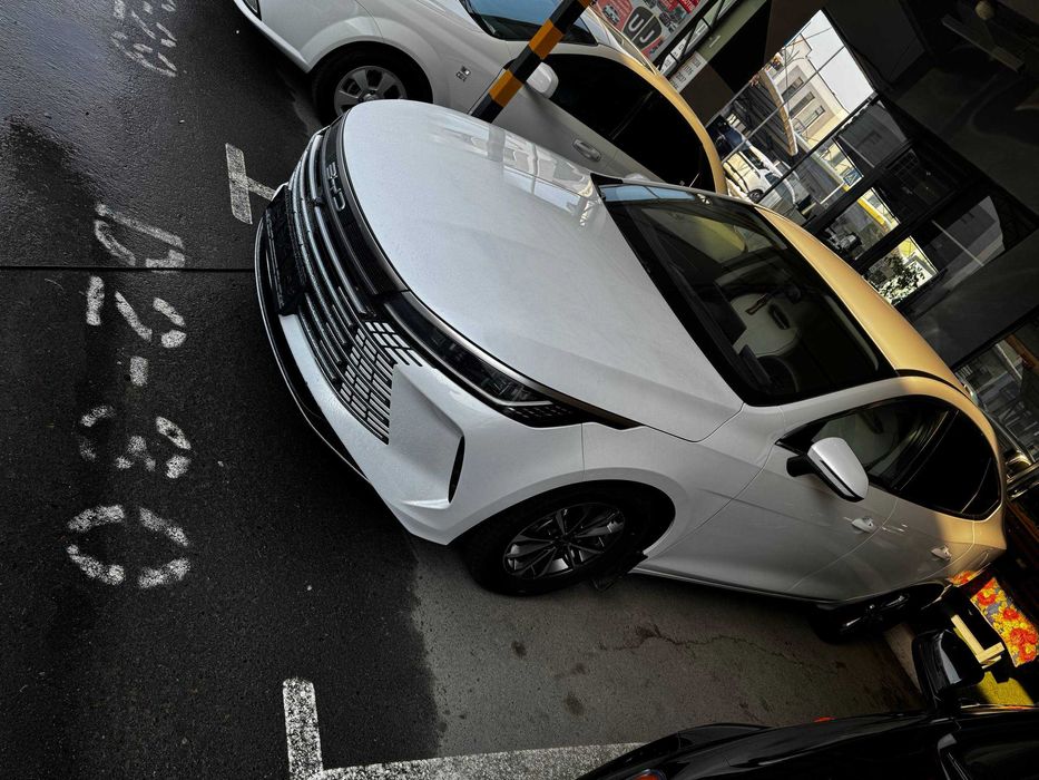 BYD Chazor Dmi 55км 2024й ранги ок