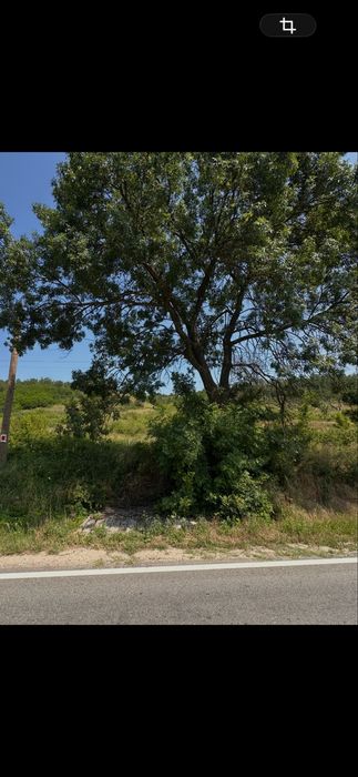 Teren intravilan 6.000 mp de vânzare – acces direct la DN67