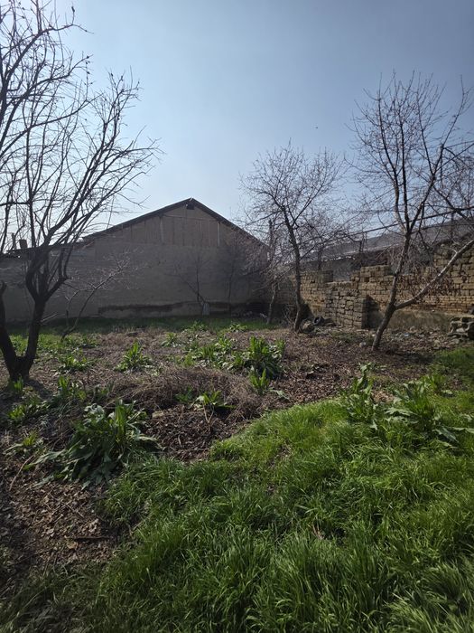 Кибрай тумани Қипчоқ маҳалласида 7 сотихли ер участкаси сотилади.