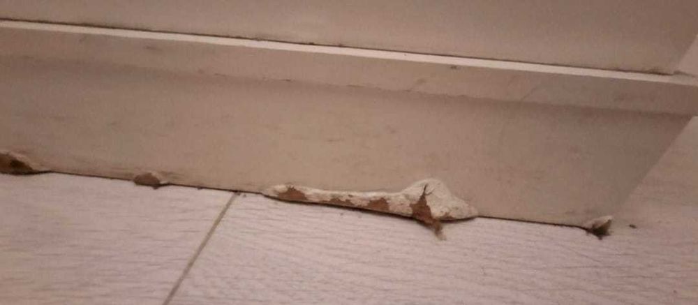 Cuier cu ladă de depozitare